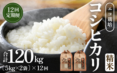 【先行予約】【令和8年産 新米】《定期便12回》エコ栽培コシヒカリ 白米10kg（5kg×2袋）計120kg ／ 鮮度抜群 福井県産 こしひかり ご飯 新鮮 白米 ※2026年10月上旬以降順次発送 [aw063-o003]