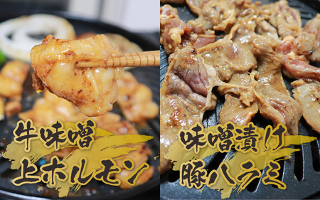 越前ホルモン屋 味噌漬け 人気ホルモンセット（計1kg）約8～10人前 ／ 味付け肉 豚肉 牛肉 小分け タレ漬け 焼肉 バーベキュー 冷凍 人気 キャンプ飯 BBQ 焼くだけ 時短調理 [aw001-a011]