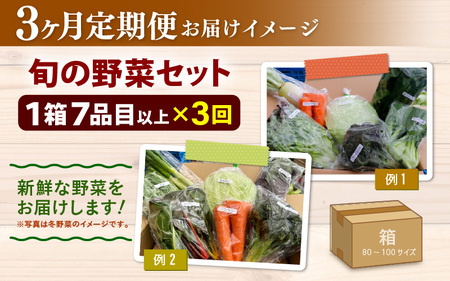 （2月発送）旬のイロイロセット 約10㎏ 2月下旬発送）旬のイロイロセット 約10㎏ 【公式通販】
