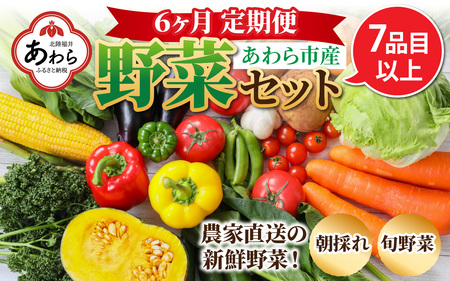 【6ヶ月連続お届け】農家直送 旬の野菜セット 7品目以上 1箱 ／ 定期便 6回 季節 野菜 ボックス BOX セット セレクト 農家 おまかせ 多品目 旬 詰め合わせ 根菜 葉物