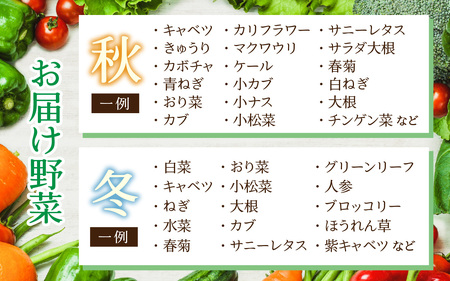 【6ヶ月連続お届け】農家直送 旬の野菜セット 7品目以上 1箱 ／ 定期便 6回 季節 野菜 ボックス BOX セット セレクト 農家 おまかせ 多品目 旬 詰め合わせ 根菜 葉物