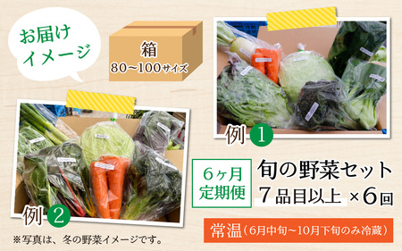 【6ヶ月連続お届け】農家直送 旬の野菜セット 7品目以上 1箱 ／ 定期便 6回 季節 野菜 ボックス BOX セット セレクト 農家 おまかせ 多品目 旬 詰め合わせ 根菜 葉物