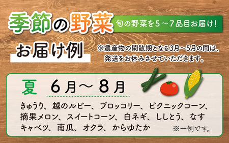 【年末年始での対応期間中です】道の駅駅長チョイス！ 旬の野菜セット 5品目以上 / 季節 野菜 ボックス BOX セット セレクト 農家 おまかせ 多品目 旬 詰め合わせ 根菜 葉物