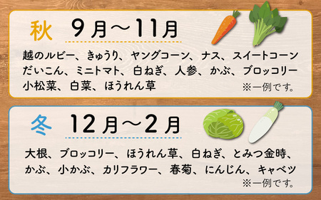 【年末年始での対応期間中です】道の駅駅長チョイス！ 旬の野菜セット 5品目以上 / 季節 野菜 ボックス BOX セット セレクト 農家 おまかせ 多品目 旬 詰め合わせ 根菜 葉物