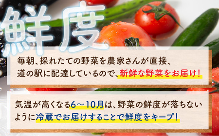 【年末年始での対応期間中です】道の駅駅長チョイス！ 旬の野菜セット 5品目以上 / 季節 野菜 ボックス BOX セット セレクト 農家 おまかせ 多品目 旬 詰め合わせ 根菜 葉物