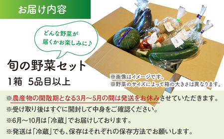 【年末年始での対応期間中です】道の駅駅長チョイス！ 旬の野菜セット 5品目以上 / 季節 野菜 ボックス BOX セット セレクト 農家 おまかせ 多品目 旬 詰め合わせ 根菜 葉物