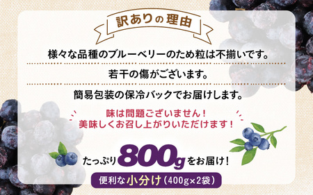 【先行予約】【訳あり】【冷凍】あわらフルーツランドのブルーベリー たっぷり 800g 便利な400g×2袋 【完熟】 / フルーツ 果物 くだもの 冷凍 小分け 完熟 ご当地 国産 おすすめ ※2026年8月上旬より順次発送 [aw091-a002]