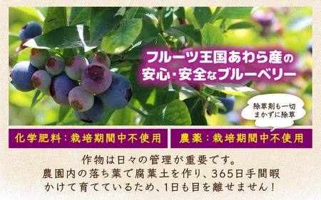 【先行予約】【訳あり】【冷凍】あわらフルーツランドのブルーベリー たっぷり 800g 便利な400g×2袋 【完熟】 / フルーツ 果物 くだもの 冷凍 小分け 完熟 ご当地 国産 おすすめ ※2026年8月上旬より順次発送 [aw091-a002]