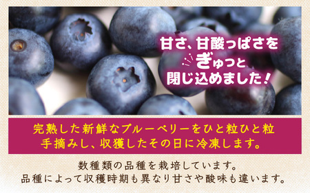 【先行予約】【訳あり】【冷凍】あわらフルーツランドのブルーベリー たっぷり 800g 便利な400g×2袋 【完熟】 / フルーツ 果物 くだもの 冷凍 小分け 完熟 ご当地 国産 おすすめ ※2026年8月上旬より順次発送 [aw091-a002]