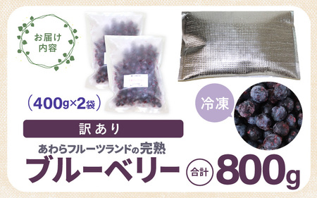 【先行予約】【訳あり】【冷凍】あわらフルーツランドのブルーベリー たっぷり 800g 便利な400g×2袋 【完熟】 / フルーツ 果物 くだもの 冷凍 小分け 完熟 ご当地 国産 おすすめ ※2026年8月上旬より順次発送 [aw091-a002]