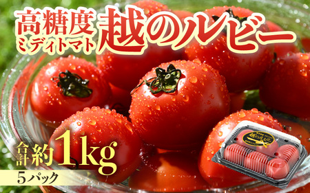 【先行予約】高糖度 ミディトマト 越のルビー パック入り 約1kg 5パック（25～45個入） / 福井県産 ブランド トマト 福井県産ブランドトマト  農家直送 有機肥料 低農薬 完熟 甘い ※2025年9月中旬より順次発送 [aw069-a009]