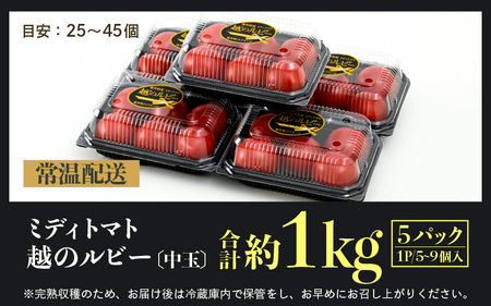 【先行予約】高糖度 ミディトマト 越のルビー パック入り 約1kg 5パック（25～45個入） / 福井県産 ブランド トマト 福井県産ブランドトマト  農家直送 有機肥料 低農薬 完熟 甘い ※2025年9月中旬より順次発送 [aw069-a009]