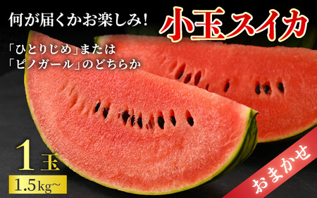 【先行予約】【秀品】佐藤農園の小玉スイカとレノンメロンのセット 計2玉 / 農家直送 有機肥料 低農薬 すいか フルーツ 果物 くだもの 野菜 赤い食べ物 甘い 贈答 旬 夏 ※2026年6月中旬より順次発送 [aw069-a010]