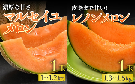 【先行予約】《定期便全2回》スイカとメロン大好きな人集まれ！第2弾！（小玉スイカ・マルセイユメロン・赤肉レノンメロン）計4玉 農家直送 秀品 お届け！/ 佐藤農園 フルーツ くだもの 果物 贈答 特産 旬 夏  完熟 すいか メロン 朝どれ 美味しい お取り寄せ 野菜 ※2026年6月上旬より順次発送 [aw069-b003]
