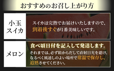【先行予約】《定期便全2回》スイカとメロン大好きな人集まれ！第2弾！（小玉スイカ・マルセイユメロン・赤肉レノンメロン）計4玉 農家直送 秀品 お届け！/ 佐藤農園 フルーツ くだもの 果物 贈答 特産 旬 夏  完熟 すいか メロン 朝どれ 美味しい お取り寄せ 野菜 ※2026年6月上旬より順次発送 [aw069-b003]