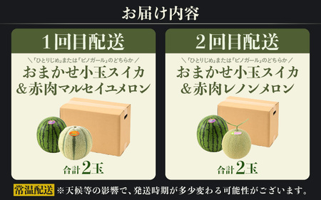 【先行予約】《定期便全2回》スイカとメロン大好きな人集まれ！第2弾！（小玉スイカ・マルセイユメロン・赤肉レノンメロン）計4玉 農家直送 秀品 お届け！/ 佐藤農園 フルーツ くだもの 果物 贈答 特産 旬 夏  完熟 すいか メロン 朝どれ 美味しい お取り寄せ 野菜 ※2026年6月上旬より順次発送 [aw069-b003]