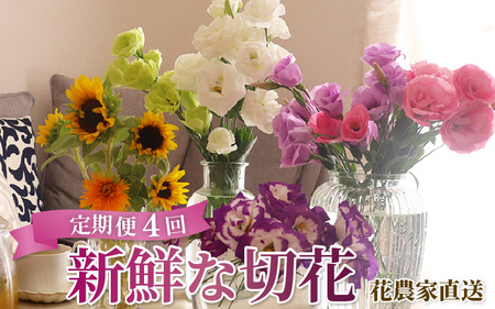 【定期便4回】花農家直送 新鮮な切花【春 夏 秋 冬】 / 生花 お花 旬の花束 豊かな生活 花のある生活 15本程度 2種 季節 年4回お届け [aw099-d001]