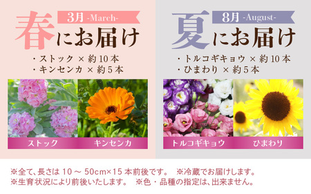 【定期便4回】花農家直送 新鮮な切花【春 夏 秋 冬】 / 生花 お花 旬の花束 豊かな生活 花のある生活 15本程度 2種 季節 年4回お届け [aw099-d001]