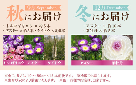 【定期便4回】花農家直送 新鮮な切花【春 夏 秋 冬】 / 生花 お花 旬の花束 豊かな生活 花のある生活 15本程度 2種 季節 年4回お届け [aw099-d001]