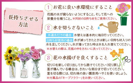 【定期便4回】花農家直送 新鮮な切花【春 夏 秋 冬】 / 生花 お花 旬の花束 豊かな生活 花のある生活 15本程度 2種 季節 年4回お届け [aw099-d001]