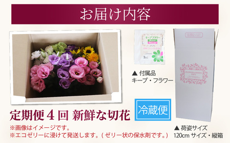 【定期便4回】花農家直送 新鮮な切花【春 夏 秋 冬】 / 生花 お花 旬の花束 豊かな生活 花のある生活 15本程度 2種 季節 年4回お届け [aw099-d001]