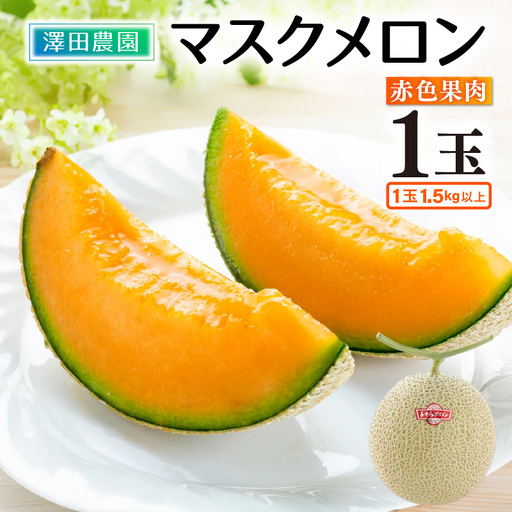 【先行予約】赤肉マスクメロン（1.5kg以上 1玉入）味も見た目も抜群！アールスメロン / 期間限定 果物 フルーツ 産地直送 赤肉 人気 ギフト 贈答 ※2026年7月上旬より順次発送 [aw039-a016]