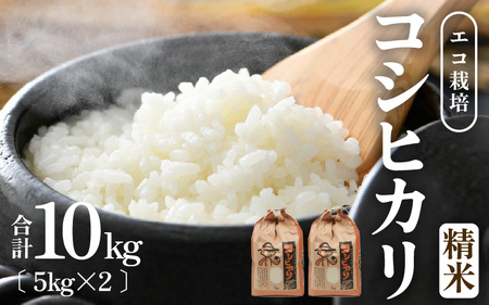【令和6年産】エコ栽培 コシヒカリ 白米10kg（5kg×2） ／ 米 鮮度抜群 福井県産 こしひかり ご飯 新鮮 白米 [aw063-b006]