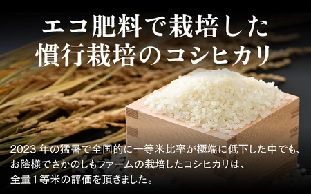 【令和6年産】エコ栽培 コシヒカリ 白米10kg（5kg×2） ／ 米 鮮度抜群 福井県産 こしひかり ご飯 新鮮 白米 [aw063-b006]
