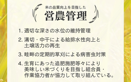 【令和6年産】エコ栽培 コシヒカリ 白米10kg（5kg×2） ／ 米 鮮度抜群 福井県産 こしひかり ご飯 新鮮 白米 [aw063-b006]