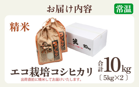 【令和6年産】エコ栽培 コシヒカリ 白米10kg（5kg×2） ／ 米 鮮度抜群 福井県産 こしひかり ご飯 新鮮 白米 [aw063-b006]