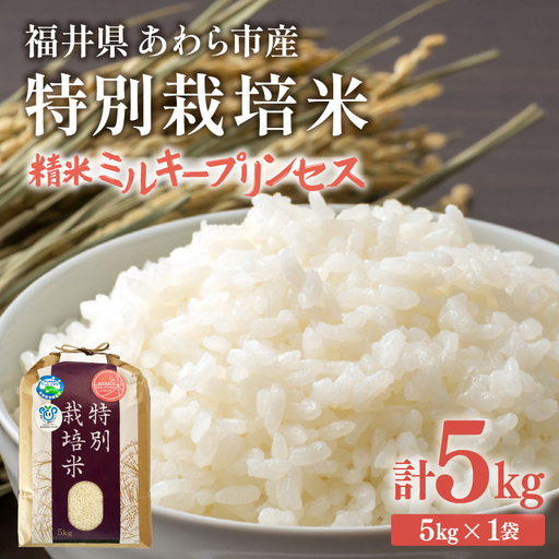 【令和7年産】化学肥料不使用 特別栽培米 ミルキープリンセス 精米 5kg/ 白米 米 福井県あわら市産 美味しい 特別栽培米 減農薬 安心な米 旨味 甘み もっちり 冷蔵保管米 [aw010-a023]