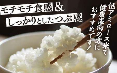 【令和7年産】定期便 ≪3ヶ月連続お届け≫ 化学肥料不使用 特別栽培米 ふくむすめ 精米 5kg × 3回（合計15kg） / 白米 米 福井県あわら市産 美味しい 特別栽培米 減農薬 安心な米 旨味 甘み もっちり 冷蔵保管米 [aw010-c010]