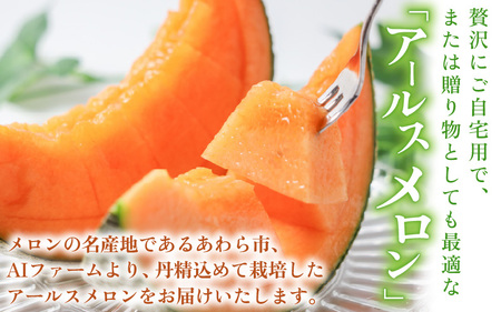 【先行予約】アールスメロン 2玉（約3.2kg以上）赤肉品種 高級メロン！ ／ マスクメロン 大玉 果物 フルーツ 夏 ギフト 農家直送 ※2026年6月下旬以降順次発送 [aw065-a012]