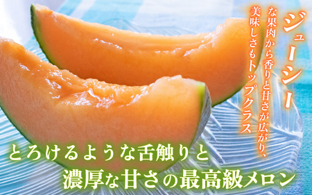 【先行予約】アールスメロン 2玉（約3.2kg以上）赤肉品種 高級メロン！ ／ マスクメロン 大玉 果物 フルーツ 夏 ギフト 農家直送 ※2026年6月下旬以降順次発送 [aw065-a012]