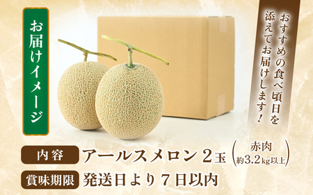 【先行予約】アールスメロン 2玉（約3.2kg以上）赤肉品種 高級メロン！ ／ マスクメロン 大玉 果物 フルーツ 夏 ギフト 農家直送 ※2026年6月下旬以降順次発送 [aw065-a012]