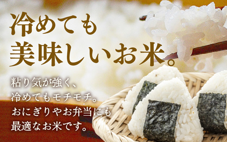 定期便 ≪12ヶ月連続お届け≫ 令和7年産 特別栽培米 コシヒカリ 精米 5kg×12回（計60kg） [aw121-n001]