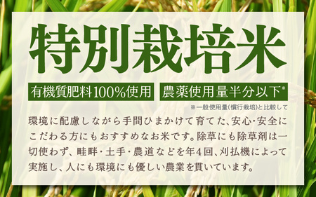 定期便 ≪12ヶ月連続お届け≫ 令和7年産 特別栽培米 コシヒカリ 精米 10kg×12回（計120kg） [aw121-p002]