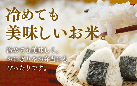 令和7年産 あきさかり 無洗米 10kg × 1袋（計10kg） ／ 米 10キロ 福井県産 ブランド米 あきさかり ご飯 白米 新鮮 高品質米 [aw121-b004]