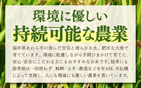 令和7年産 あきさかり 無洗米 10kg × 1袋（計10kg） ／ 米 10キロ 福井県産 ブランド米 あきさかり ご飯 白米 新鮮 高品質米 [aw121-b004]