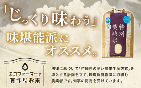 【令和7年産】化学肥料不使用 特別栽培米 ピカツンタ 精米 10kg×1袋 / 白米 米 福井県あわら市産 美味しい 特別栽培米 減農薬 安心な米 旨味 甘み もっちり 冷蔵保管米 [aw010-b011]