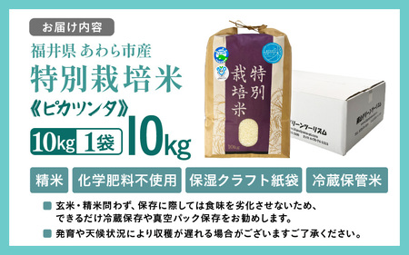 【令和7年産】化学肥料不使用 特別栽培米 ピカツンタ 精米 10kg×1袋 / 白米 米 福井県あわら市産 美味しい 特別栽培米 減農薬 安心な米 旨味 甘み もっちり 冷蔵保管米 [aw010-b011]