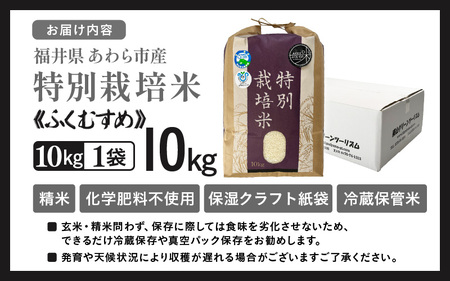 【令和7年産】化学肥料不使用 特別栽培米 ふくむすめ 精米 10kg × 1袋 / 白米 米 福井県あわら市産 美味しい 特別栽培米 減農薬 安心な米 旨味 甘み もっちり 冷蔵保管米 [aw010-b010]