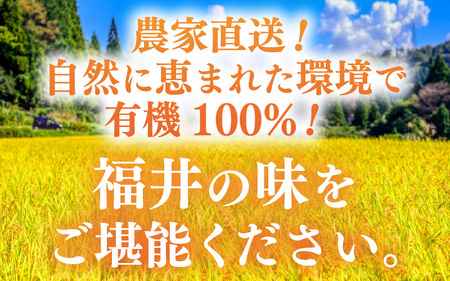 【令和7年産】定期便 ≪12ヶ月連続お届け≫  化学肥料不使用 特別栽培米 コシヒカリ 精米 10kg × 12回（合計120kg） [aw010-p002]