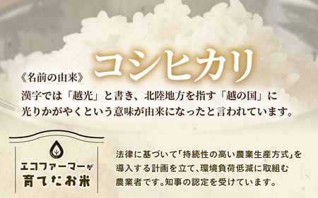 【令和7年産】定期便 ≪12ヶ月連続お届け≫  化学肥料不使用 特別栽培米 コシヒカリ 精米 10kg × 12回（合計120kg） [aw010-p002]