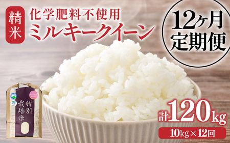 【令和7年産】定期便 ≪12ヶ月連続お届け≫  化学肥料不使用 特別栽培米 ミルキークイーン 精米 10kg × 12回（合計120kg） [aw010-p003]