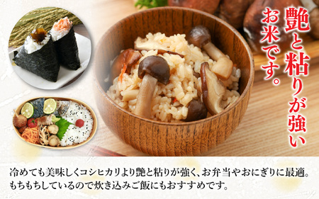 【令和7年産】定期便 ≪12ヶ月連続お届け≫  化学肥料不使用 特別栽培米 ミルキークイーン 精米 10kg × 12回（合計120kg） [aw010-p003]