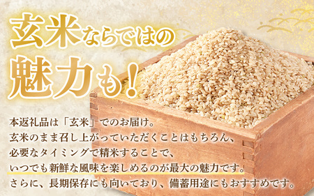 【令和7年産 新米】限定流通 伊与衛門農園 特別栽培いちほまれ玄米 5kg ／ 農薬不使用 高品質 鮮度抜群 福井県 あわら市熊坂産 ブランド米 玄米 [aw071-b003]