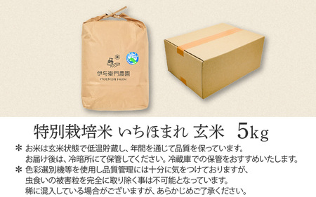 【令和7年産 新米】限定流通 伊与衛門農園 特別栽培いちほまれ玄米 5kg ／ 農薬不使用 高品質 鮮度抜群 福井県 あわら市熊坂産 ブランド米 玄米 [aw071-b003]