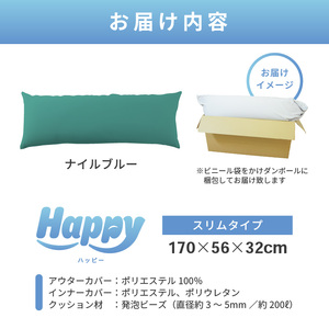 【ナイルブルー】ワンルームにも◎軽量＆万能ビーズクッション｜ハッピースリム / 椅子 インテリア 雑貨 クッション しっかり生地 少し固め カラバリ リラックス 手作り 国産 [aw055-c004_05]