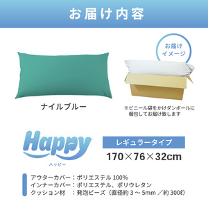 【ナイルブルー】ソファにもベッドにも◎軽量＆万能ビーズクッション｜ハッピーレギュラー / 椅子 インテリア 雑貨 クッション しっかり生地 少し固め カラバリ リラックス 手作り 国産 [aw055-e003_05]